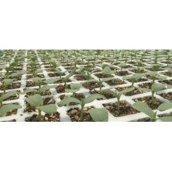 Kekkila Sphagnum 100L - Gdet, med Perlite